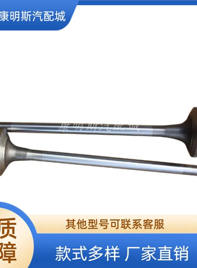 西安康明斯ISM11/QSM11发动机进气阀组件4955239/4926069