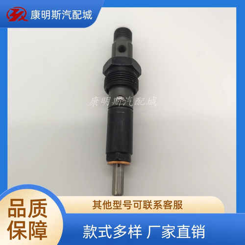 6BT5.9发动机喷油嘴4025334