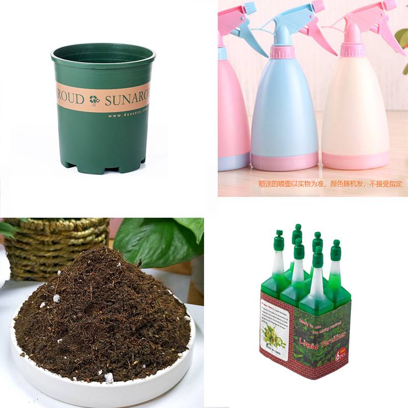 园艺用品营养土加仑盆营养液小喷壶自动浇水神器蓝雪花碰碰香通用