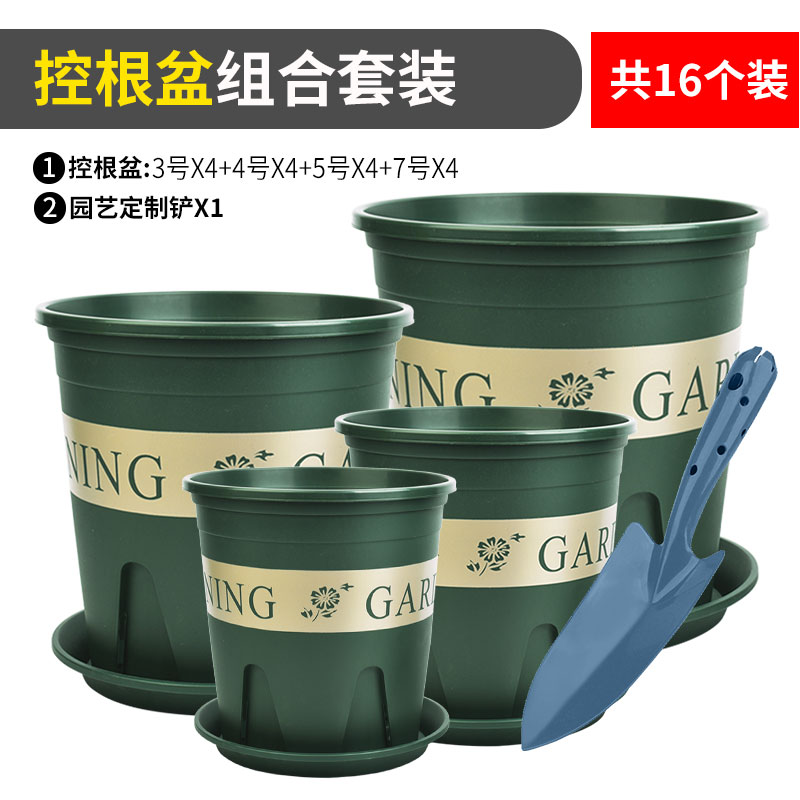 加仑多肉植物阳台花盆月季图片