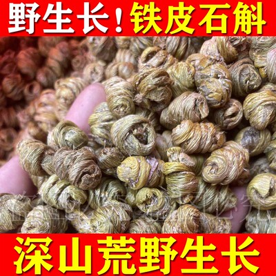 荒野悬崖石壁采摘铁皮石斛胶质满