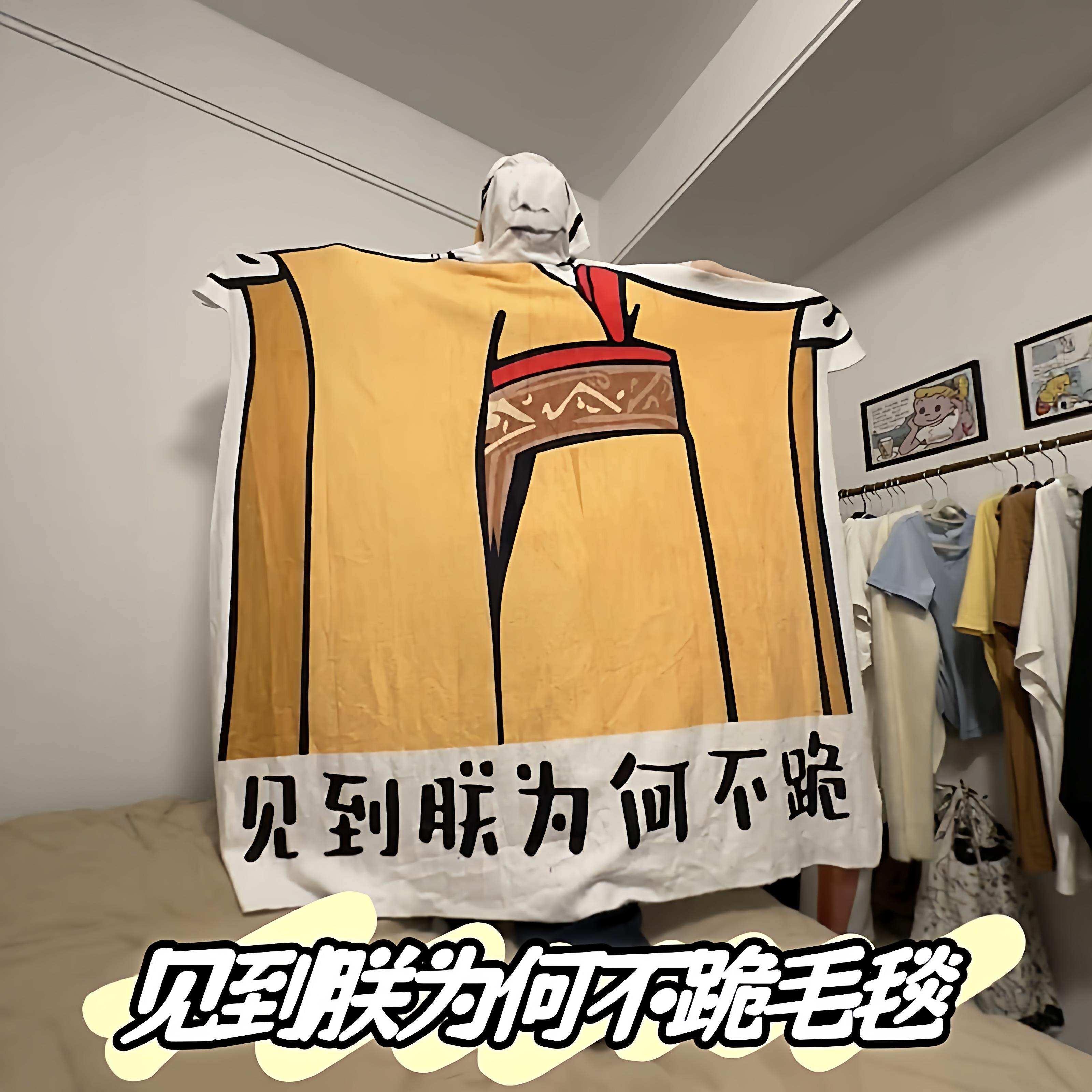 见到朕为何不跪毛毯宿舍