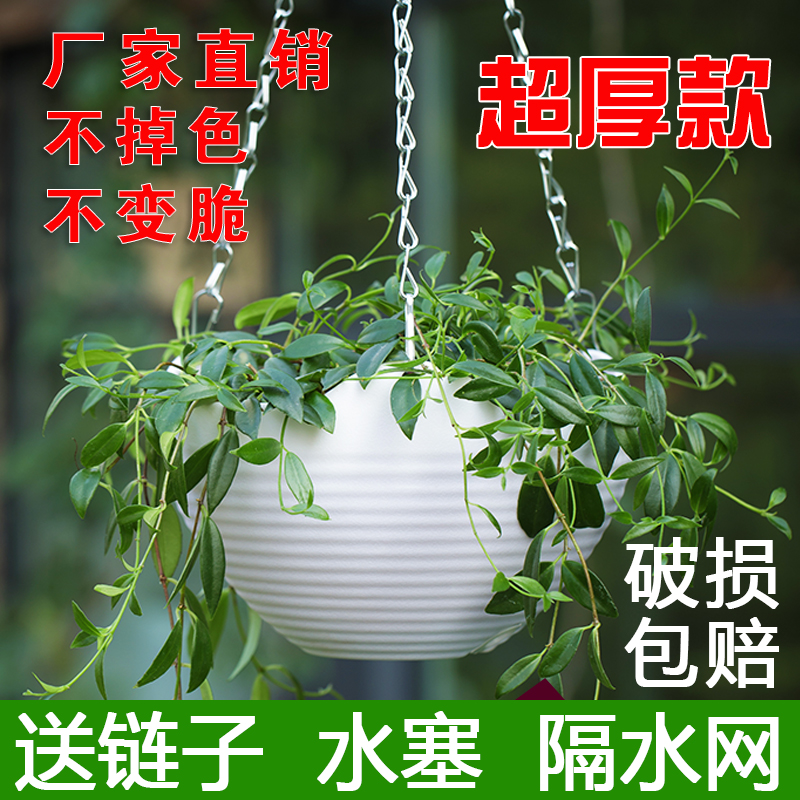 吊兰吊篮花盆垂吊盆悬挂式挂钩养种绿萝专用的室内自吸水塑料花盆 鲜花速递/花卉仿真/绿植园艺 花盆 原图主图