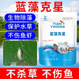 蓝藻克星分解酶水产养殖蓝藻速灭不伤鱼虾蟹塘除绿水生物除藻剂