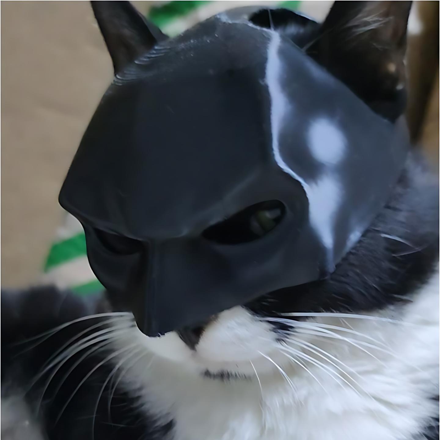 K新款面具道具角色扮演道具蝙蝠猫复仇者面具猫咪面具宠物用品创