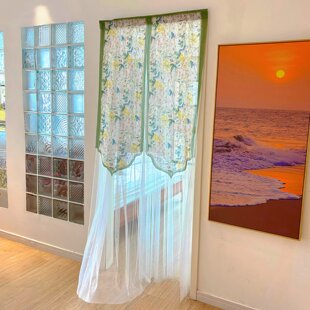 门帘遮挡帘2026新款氛围感隐私隔断帘卧室房间家用防蚊纱高档纱帘