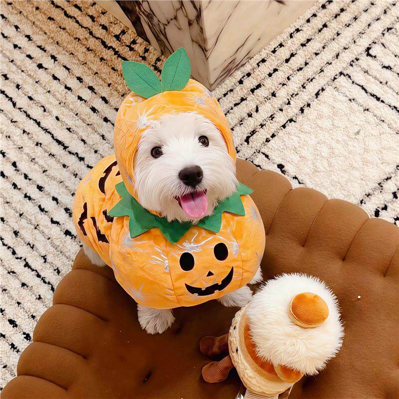 狗狗万圣节cos服宠物衣服猫小型犬搞怪装扮服装创意搞怪拍照道具