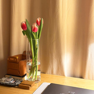 【新家的100个快递】直筒玻璃花瓶透明水培鲜花插花瓶家居装饰品