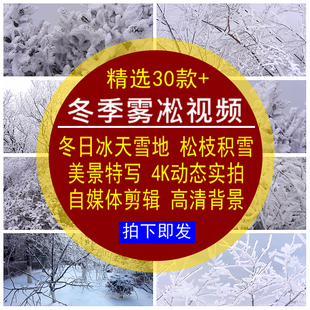 冬季雾凇视频素材冬日冰天雪地松树枝积雪美景特写实拍4K动态背景