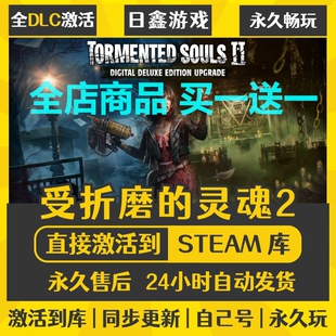 steam正版【受折磨的灵魂2】激活码CDKEY全DLC国区游戏入库全球激