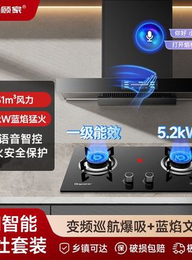 顾家欧式黑色顶吸式AI语音智控熄火保护油烟机燃气灶套装烟灶组合