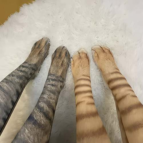 真猫爪袜子仿猫咪jiojio印花长筒袜搞怪互动立体袜子创意整人宠物