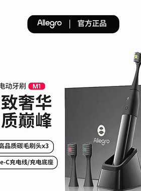 Allegro爱丽歌电动牙刷圣诞好礼成人男女士高级磁吸底座情侣礼物