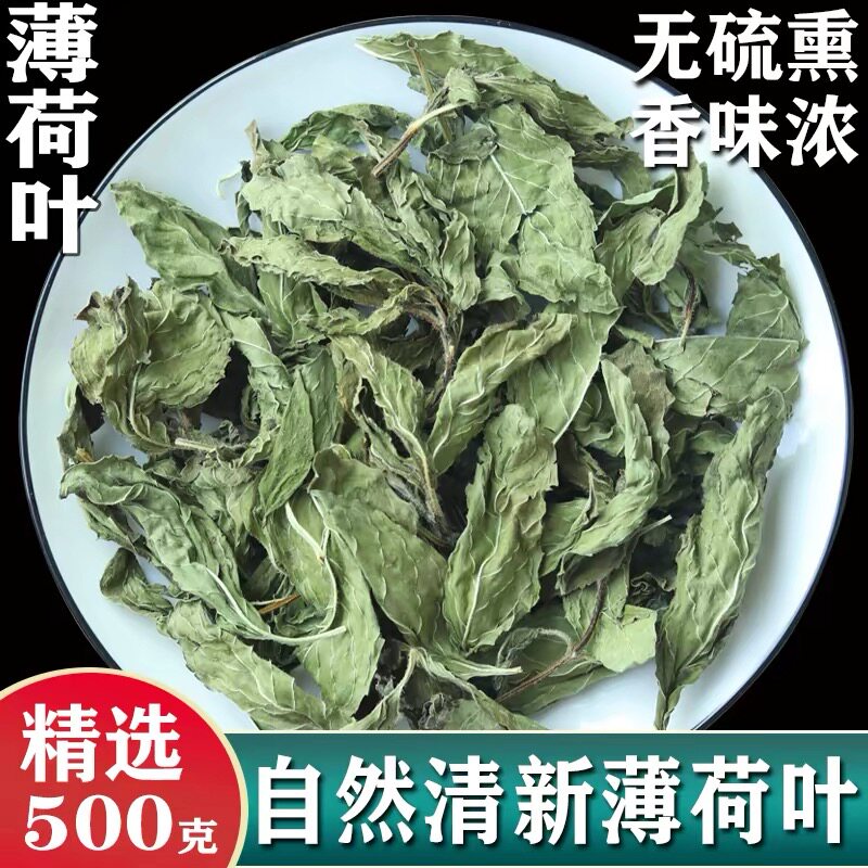 薄荷叶泡茶柠檬清凉干新鲜可奶茶店调酒水专冷泡商非中药材夏季用图片