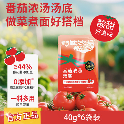 糙能农场汤好喝番茄浓汤汤底40g