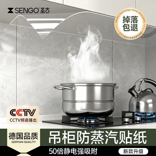 【德国品质】这才叫吊柜防蒸汽