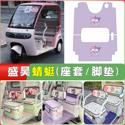 适用盛昊蜻蜓三轮车坐垫套脚垫专用四季通用防水防晒透气蜻蜓座套