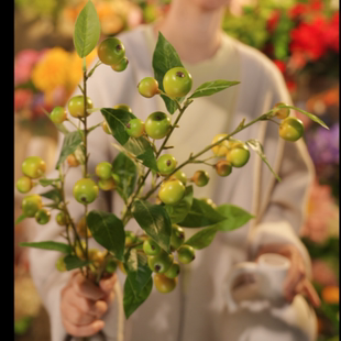 青苹果 仿真水果 手感花 高级感简约风 仿真花