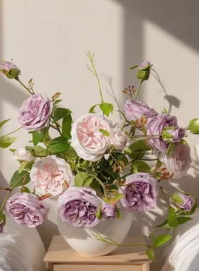 6头奥斯汀花 紫色粉色系列玫瑰花 多头奥斯汀玫瑰花绢布材仿真花