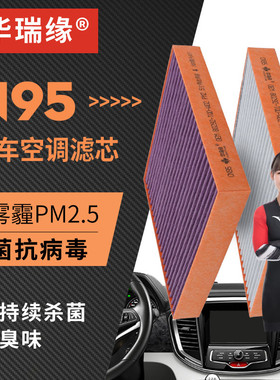 CN95活性炭空调滤芯适配3YS特斯拉Model 3/特斯拉ModelY内置空调