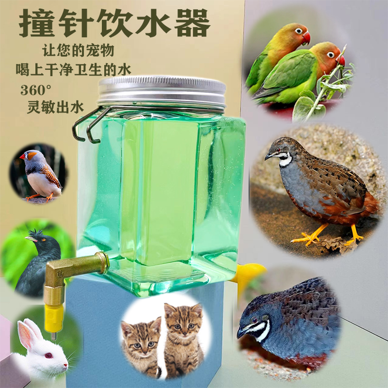 芦丁鸡撞针水壶猫咪兔子龙猫鸟类鹦鹉八哥宠物自动饮水器芙蓉鸟 宠物/宠物食品及用品 兔兔饮水器 原图主图