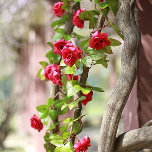 2m Artificial Flowers Rose Ivy Vine Wedding Decoration Real
