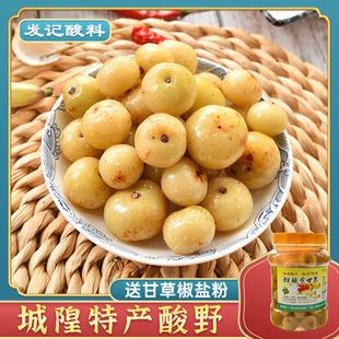 广西特产酸野 发记甜酸余甘果 城隍酸料酸辣油甘子广西酸嘢牛甘果