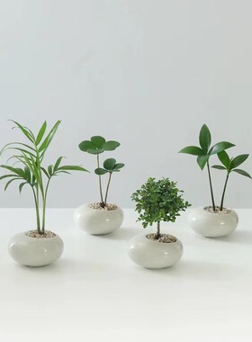 小型号单盆创意拇指陶瓷花盆室内客厅桌面办公桌花卉四季常青