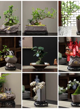 仿古复古室内室外创意盆景异形花盆小号特大号紫砂陶瓷绿植物台桌