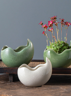 轻奢高级感兰花蝴蝶兰专用花盆陶瓷清仓特价发财树文竹盆栽盆景盆