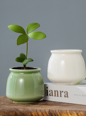 陶瓷哥窑开片陶瓷水培小花盆无孔花钵绿植容器小清新桌面花器