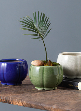 花盆陶瓷高级感小号釉水花盆多肉盆景创意盆景盆家用