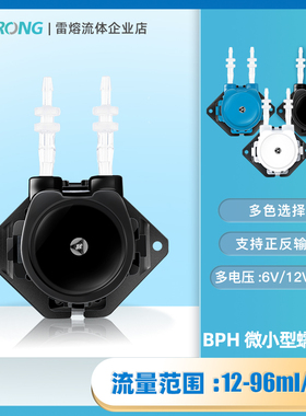爆款雷熔微小型蠕动泵BPH实验室12v循环自吸滴定抽水24V有刷立式