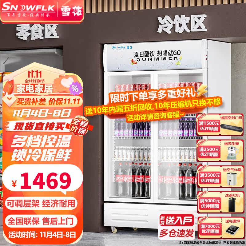 雪花【现货送货入户】雪花（SNOWFLK）商用展示柜冰柜冰箱保鲜柜怎么看?