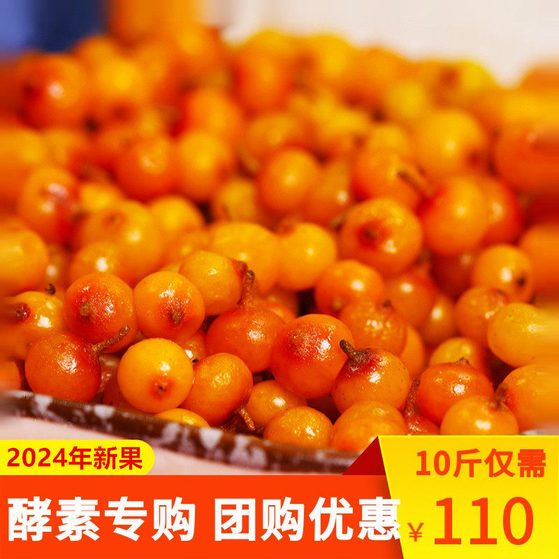 穆芝堂新鲜吕梁酵素榨汁沙棘果图片