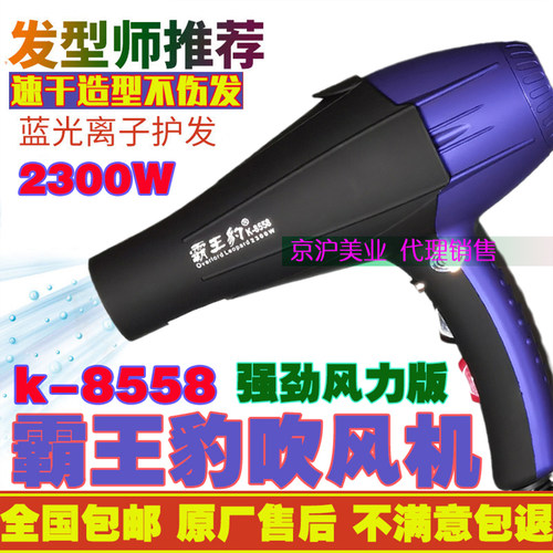 霸王豹蓝光负离子强风速干吹风机