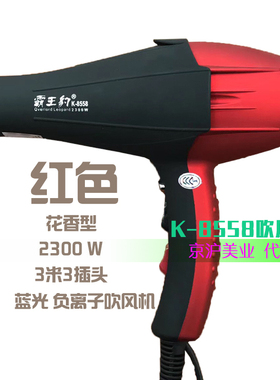 霸王豹吹风机8558大风力速干不伤发美发师用负离子吹风筒静音恒温