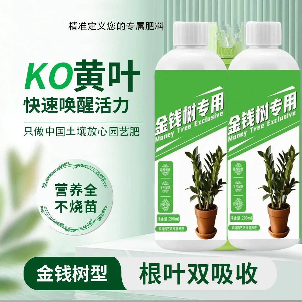 沃丞相金钱树叶子枯黄掉叶专用营养液发财树肥料专用肥防黄叶落叶