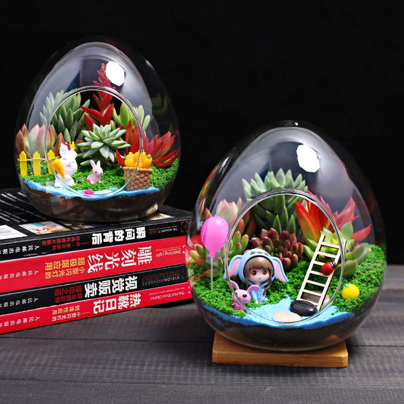 大蛋玻璃瓶多肉肉组合植物盆栽 迷你多肉小绿植盆景微景观diy材料