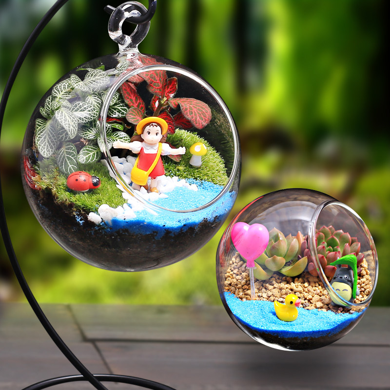 创意礼品苔藓多肉植物生态瓶子玻璃微景观组合盆栽diy材料包套装
