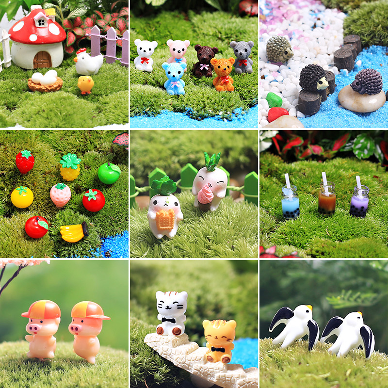 苔藓微景观多肉造景盆景装饰水果