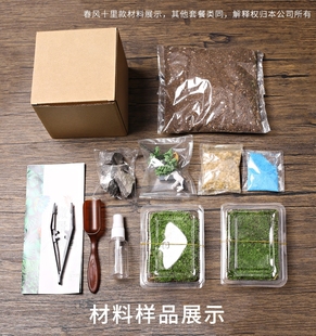 室内桌面趣味微型创意DIY绿植 大号水滴苔藓植物盆栽微景观生态瓶