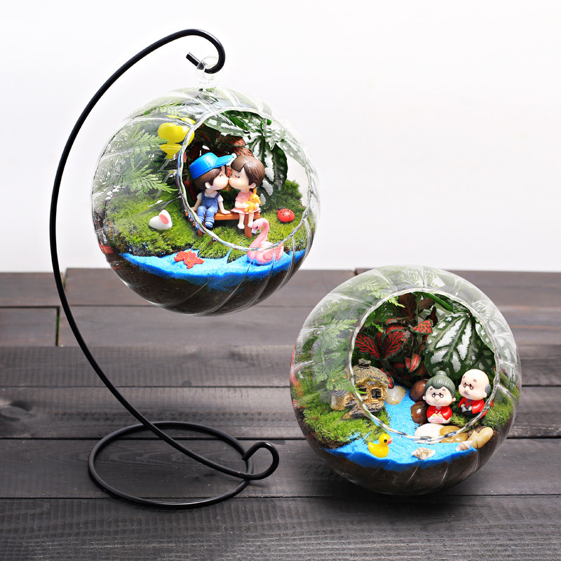 16c苔藓室内桌面迷你小盆栽绿植物花苞生态玻璃瓶微缩景观diy材料