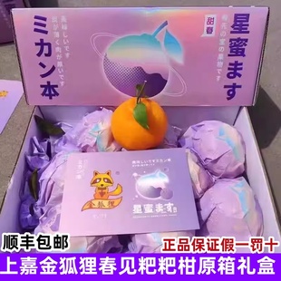 顺丰上嘉金狐狸春见粑粑柑原箱礼盒新鲜孕妇水果纯甜橘子四川柑橘
