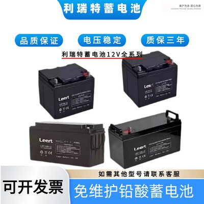 Leert利瑞特蓄电池12V120AH