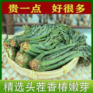 头茬香椿芽咸菜山东特产腌制蔬菜下饭菜拌豆腐鲜嫩春芽