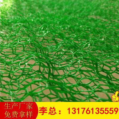 山东厂家大量植被网 EM3EM4各种规格护坡绿化 三维植被网