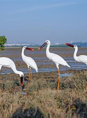 室外仿真仙鹤雕塑水景池塘白鹤装饰假山花园售楼部玻璃钢白鹭摆件