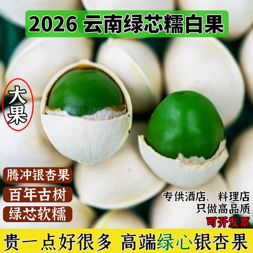 腾冲绿芯糯白果古树大果新鲜