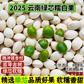 2025年云南腾冲银杏村古树绿芯糯白果新鲜银杏果非即食烤银杏 包邮